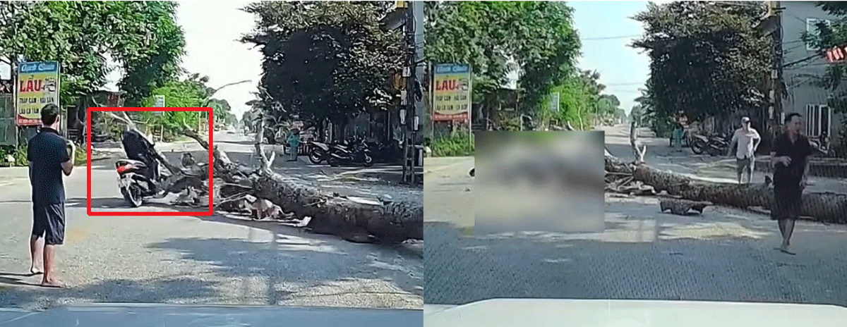 Vụ người đ&agrave;n &ocirc;ng tử vong v&igrave; c&acirc;y đ&egrave; tr&uacute;ng: C&ocirc;ng an th&ocirc;ng tin diễn biến mới g&acirc;y ch&uacute; &yacute; về người cưa c&acirc;y
