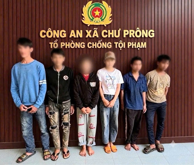 6 thanh thiếu ni&ecirc;n dựng kịch bản &lsquo;đi nhờ xe&rsquo; để cướp điện thoại, h&eacute; lộ lời khai tại c&ocirc;ng an