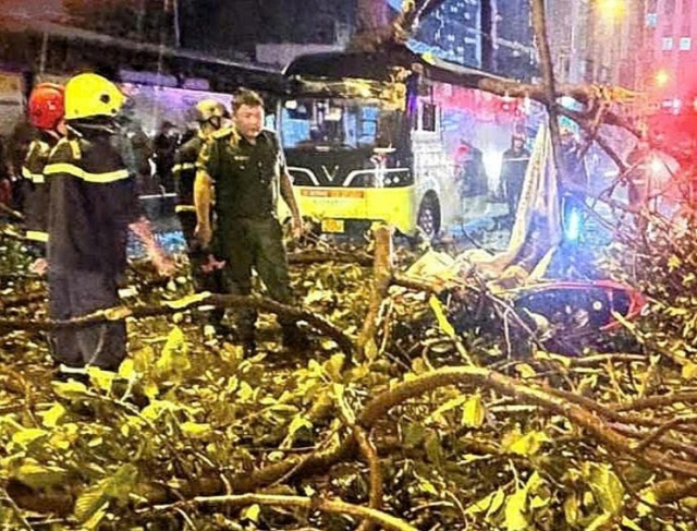 Danh t&iacute;nh hai vợ chồng thương vong v&igrave; bị nh&aacute;nh c&acirc;y lớn rơi tr&uacute;ng xe ở TP HCM