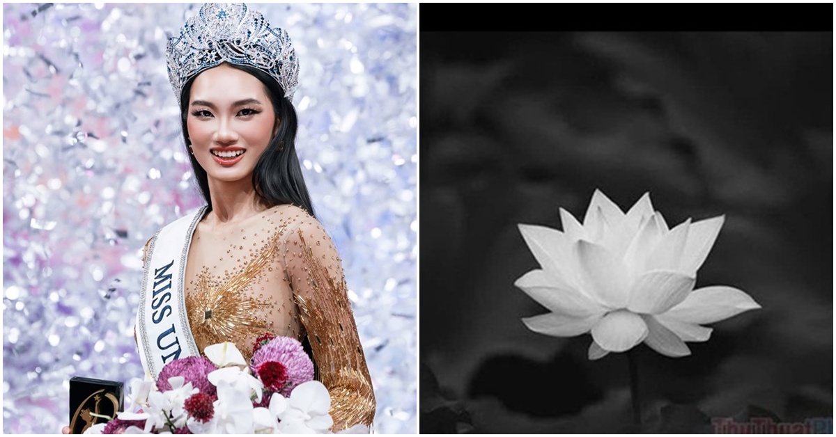 Vừa đăng quang Miss Universe Vietnam 2026, Nguyễn Quỳnh Anh đ&atilde; nhận tin buồn khiến nhiều người x&oacute;t xa
