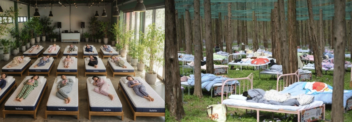 Top những cuộc thi ngủ độc nhất thế giới: Giải thưởng hơn 350 triệu, ng&aacute;y to cũng được cộng điểm