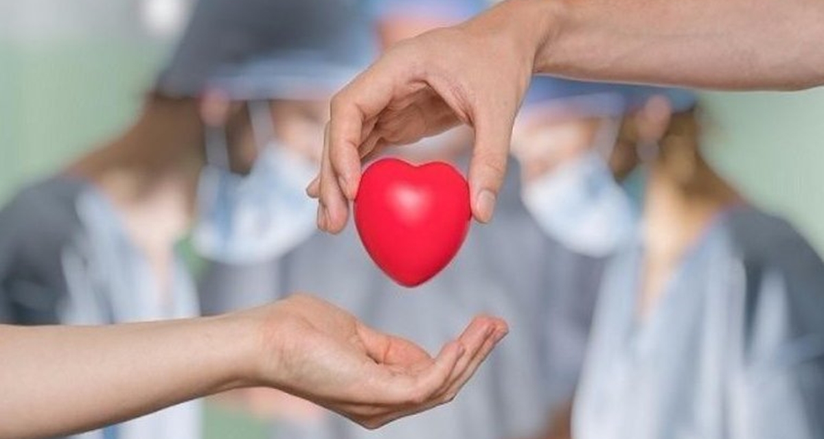 Bộ Y tế l&agrave;m r&otilde; đề xuất cho người dưới 18 tuổi hiến m&ocirc;, tạng, l&agrave;m sao kiểm so&aacute;t mua b&aacute;n m&ocirc;, tạng, bảo vệ trẻ em?