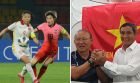 VFF khủng hoảng: Đội tuyển Việt Nam nguy cơ mất trắng vé dự World Cup vì lý do 'trên trời rơi xuống'