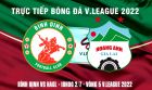Xem trực tiếp bóng đá Bình Định vs HAGL ở đâu, kênh nào? Link xem trực tiếp HAGL V.League 2022