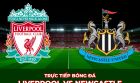 Xem trực tiếp bóng đá Liverpool vs Newcastle ở đâu, kênh nào? Link xem Ngoại hạng Anh Full HD