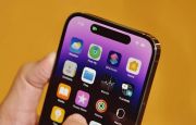 
                                 Đây là iPhone màn Dynamic Island 120Hz rẻ nhất Việt Nam, ăn đứt iPhone 17 với giá rẻ như bèo 
                            