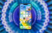 
                                 Đây là iPhone pin trâu, màn lớn, chơi game ngon rẻ nhất Việt Nam trong tháng 8, không quá thua iPhone 17 
                            