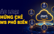 
                                 Các loại chứng chỉ AWS phổ biến nhất giúp tăng thêm thu nhập và cơ hội 
                            
