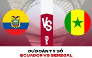 Dự đoán tỷ số Ecuador vs Senegal - Bảng A World Cup 2022: Khan hiếm bàn thắng?