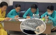 Thêm thông tin nóng về vụ 4 tiếp viên mang ma túy về Việt Nam: 2 nghi can liên qua bị bắt giữ
