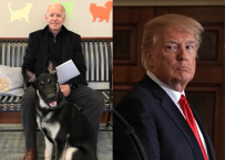 Joe Biden tổ chức lễ nhậm chức cho chó, chọc giận người dân Mỹ bằng tấm ảnh xúc phạm Donald Trump