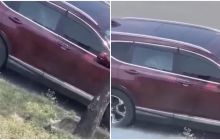 Clip 2 phút cặp đôi ‘mây mưa’ trên xe ô tô bị người qua đường ghi lại, CĐM ‘sốc’ vì quá táo bạo