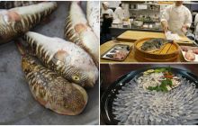 Việt Nam có 1 loài cá cực độc, nhiều người ăn vào đã tử vong, bác sĩ khuyến cáo nên loại bỏ ngay