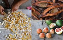 Loại quả rẻ tiền ở Việt Nam, ít người ăn được, sang nước ngoài lại được săn đón với mức giá khó tin