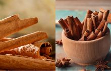 Việt Nam có sẵn loài cây quý được coi là ‘khắc tinh của ung thư’, thuộc Tứ bảo của Đông Y
