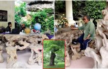Bộ bàn ghế độc nhất Việt Nam: Làm từ 'báu vật rừng xanh' 3.500 tuổi, ngã giá hàng tỷ đồng không bán