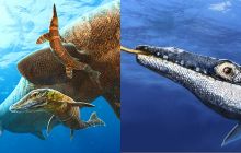 Phát hiện 'quái vật biển' 90 triệu năm tuổi có lưỡi chia đôi, kích thước siêu to khổng lồ