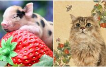 Từ 11/12, vận may sẽ đến với 3 con giáp này: Nắm bắt cơ hội, tài vận và sự nghiệp thăng tiến