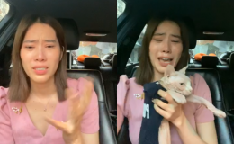 Hậu hoảng loạn sau thất tình, Nam Em làm ăn thua lỗ 1 tỷ đồng/tháng