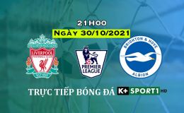 Kết quả bóng đá Liverpool vs Brighton, 21h00 [30/10] | Ngoại hạng Anh | Link xem trực tiếp bóng đá