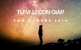Tử vi 12 con giáp 19/6: Tý đi làm không yên vì có tiểu nhân phá đám, Hợi tình cảm khởi sắc