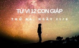 Tử vi 12 con giáp 21/6: Dần bị lợi dụng vì bản tính cả tin, Hợi cẩn thận bị lừa gạt