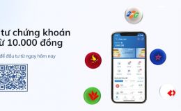 Những kiến thức không thể bỏ lỡ khi mới đầu tư chứng khoán
