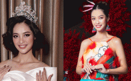 Thực hư tin Hoa hậu Nông Thúy Hằng tham gia đường dây gái ‘bán hoa’ hàng chục nghìn USD