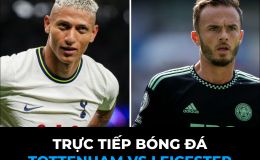 Trực tiếp bóng đá Tottenham vs Leicester - Link xem K+ FULL HD - Trực tiếp bóng đá Ngoại hạng Anh