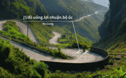 what3words - Ứng dụng định vị cực chính xác đã có mặt tại Việt Nam