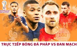 Xem trực tiếp bóng đá Pháp vs Đan Mạch ở đâu, kênh nào? Link xem trực tiếp World Cup 2022 Full HD