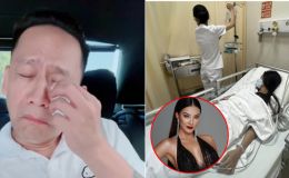 Sao Việt đăng gì 20/12: Phản ứng của Duy Mạnh khi nghe Tuấn Hưng hát, Á hậu Kim Duyên nhập viện