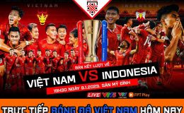 Trực tiếp bóng đá Việt Nam vs Indonesia: HLV Park Hang Seo phải sớm nói lời chia tay AFF Cup 2022?