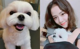 Jisoo được Dior 'sủng lên trời': Đến chó cưng của nàng đại sứ cũng có quà đắt đỏ vào ngày sinh nhật