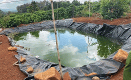 Đắc Nông: Nhảy xuống hồ tưới cứu cháu, người phụ nữ 60 tuổi và cháu trai 5 tuổi tử vong tại chỗ