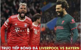 Xem trực tiếp bóng đá Liverpool vs Bayern ở đâu, kênh nào?; Link xem bóng đá trực tuyến FULL HD