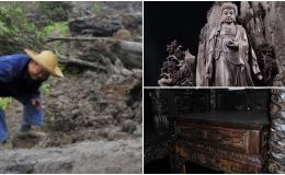 Người nông dân đào trúng cây gỗ quý 4.000 tuổi: Có giá 330 tỷ, được mệnh danh ‘đông phương thần mộc’