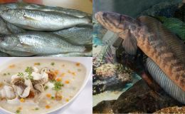2 đặc sản ở Việt Nam có tên nhạy cảm nghe mà ‘đỏ mặt’, 1 loại siêu quý hiếm, chỉ dành cho vua chúa