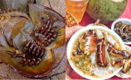 Món ăn vặt xa xỉ bậc nhất Quảng Ninh: Bát bé xíu giá bằng phở Phố cổ Hà Nội, 1 người ăn 2 bát mới bõ