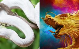 4 con giáp đổi vận, nhận lộc trời ban trong 10 ngày cuối tháng 8 âm lịch 2023
