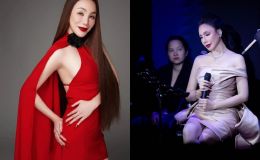 Hồ Quỳnh Hương lại khiến nhiều người không nhận ra với diện mạo hiện tại