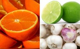 Đặt vỏ của loại quả này trước đầu giường giúp làm sạch phổi, ngủ ngon hơn trước mà ít người biết tới