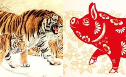 Từ 1/12 trở đi, tiền tài, may mắn sẽ ập đến với 3 con giáp này, muốn nghèo cũng khó!