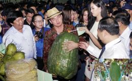 Loại bí đao nặng 60kg/quả: Duy nhất 1 làng ở Bình Định trồng ra quả nặng, bí ẩn nằm ở nước tưới