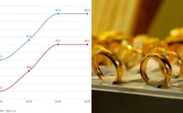 Giá vàng nhẫn tuột dốc khi nguồn cung vàng đạt đỉnh vào năm 2026?