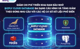 Giảm chi phí triển khai ban đầu và đáp ứng truy cập cao nhờ Bizfly Cloud Database