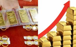 Chuyên gia dự báo: Thời điểm giá vàng chạm mốc 110 triệu đồng/lượng