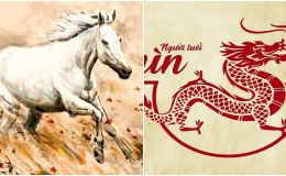 Bắt đầu từ tuần tới, vận mệnh 4 con giáp sau đây sẽ thay đổi đáng kể, đón tài lộc thịnh vượng