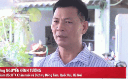 Netizen xôn xao khi Giám đốc HTX Chăn nuôi trong bản tin VTV khẳng định: 100% không có lòng se điếu