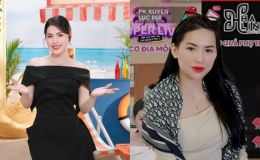 'Chiến thần' Võ Hà Linh có thể chịu án phạt 'trời giáng' nếu vụ bán phá giá vi phạm pháp luật 